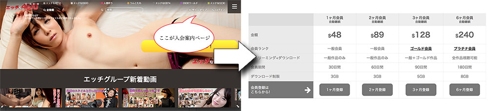 エッチな4610の入会の流れを図解します。