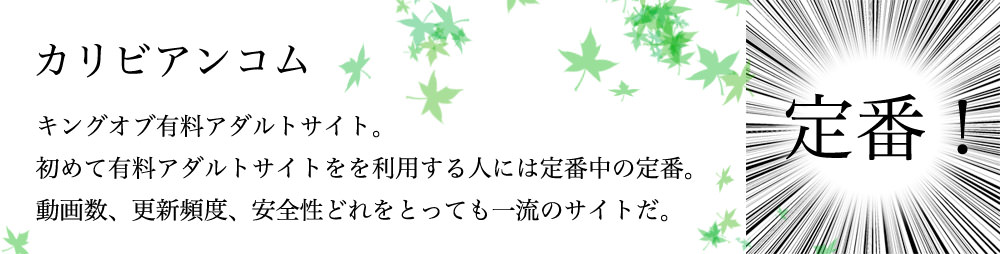 安全性と評判で比較 有料アダルトサイト入会体験