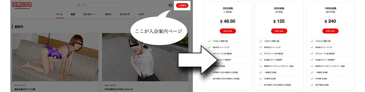 天然むすめの入会の流れを図解します。
