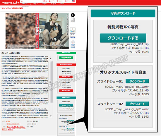 東京熱の特別掲載JPG写真とオリジナルスライド写真集とは？