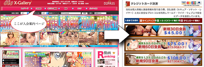 X-galleryの入会の流れを図解します。