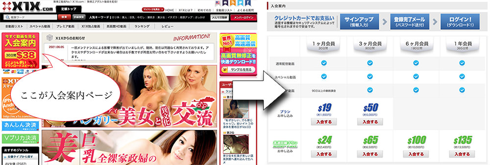 X1X.comの入会の流れを図解します。